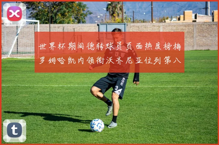 世界杯期间德转球员页面热度榜梅罗姆哈凯内领衔沃齐尼亚位列第八