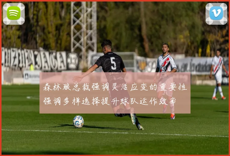 森林狼总裁强调灵活应变的重要性强调多样选择提升球队运作效率